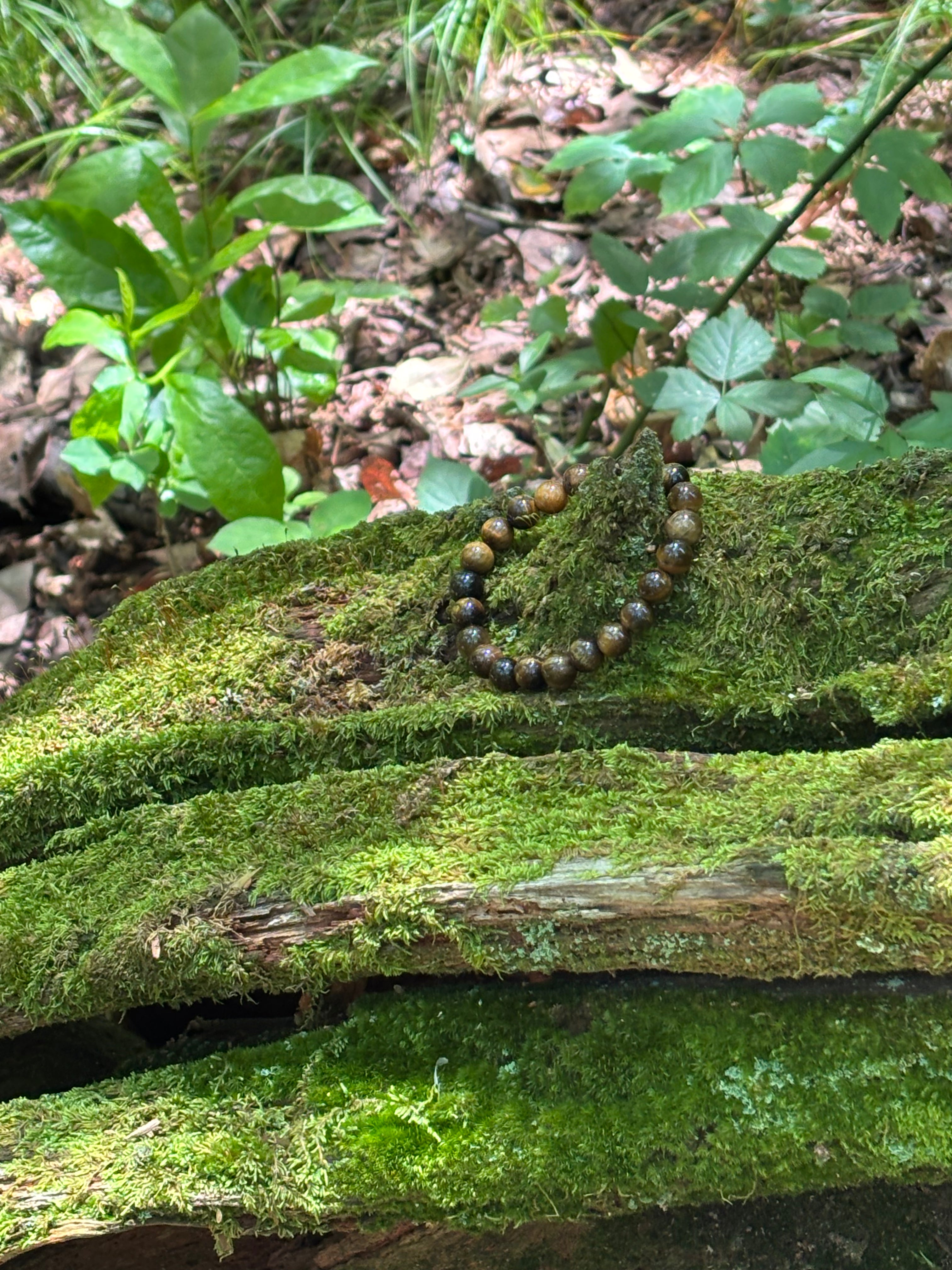 Tiger Eye Bracelet